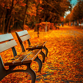 无损数据迁移的网页DDOS攻击平台